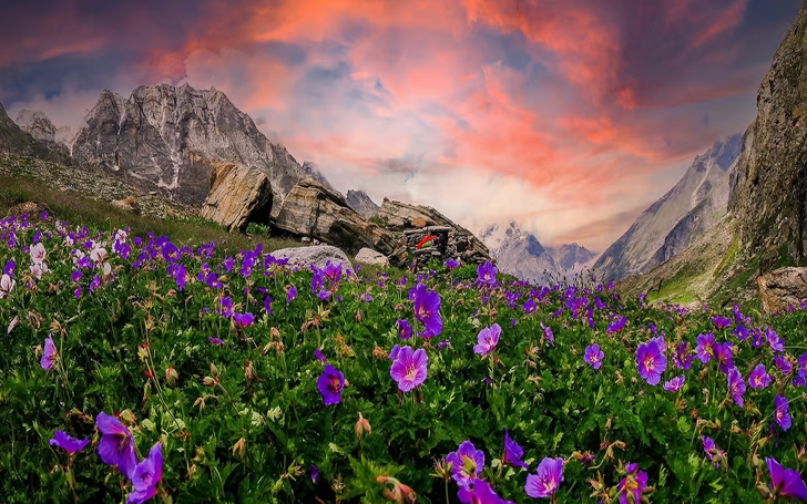 Valley of Flowers Trek